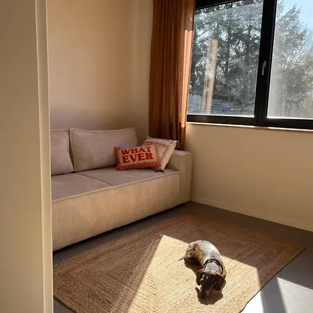 Holiday home Himmel & Holz Saal