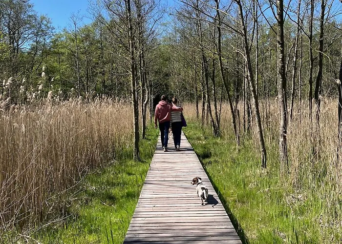 Holiday home Himmel & Holz *